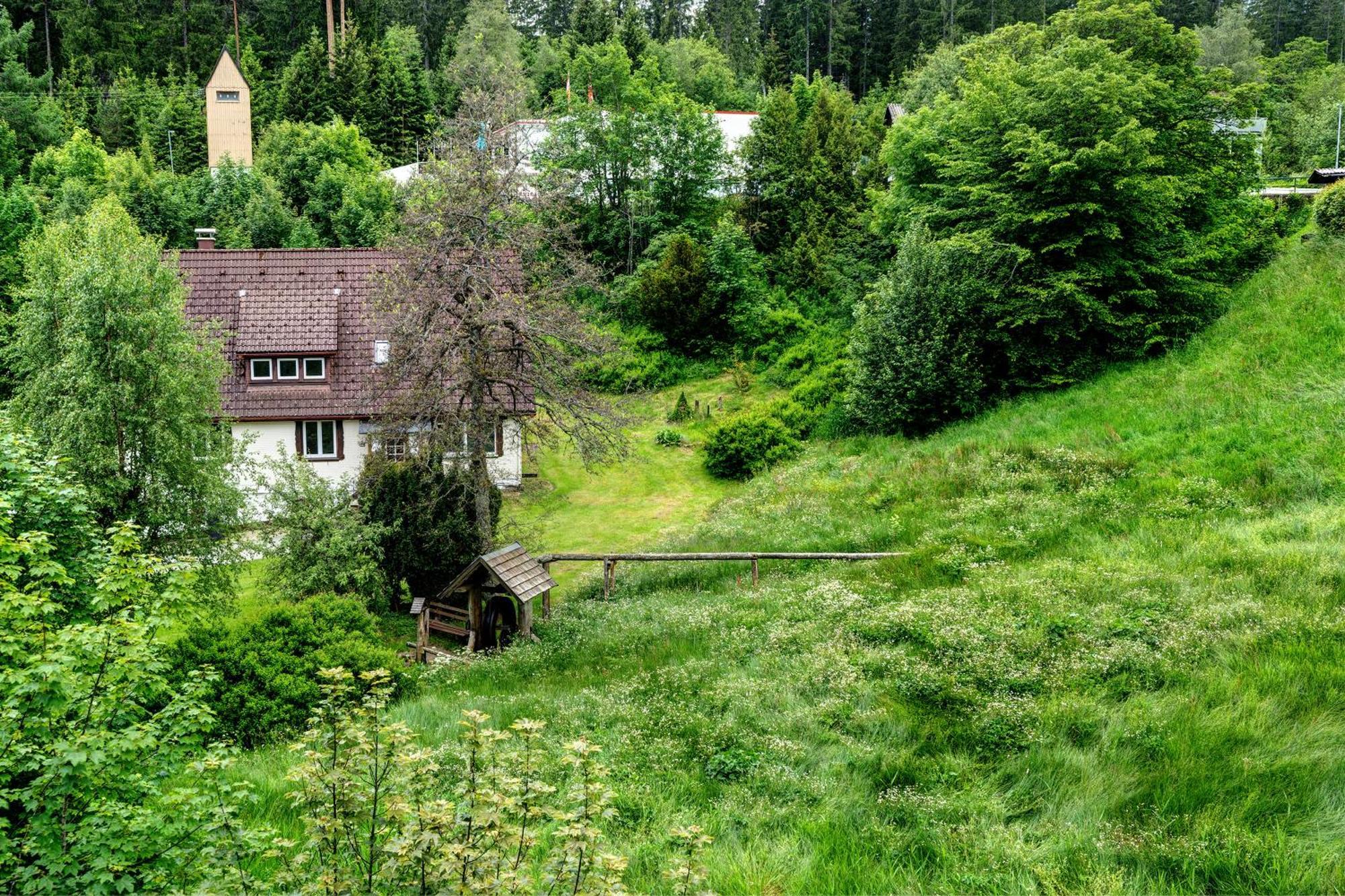Haus Seiler Apartman Freudenstadt Kültér fotó
